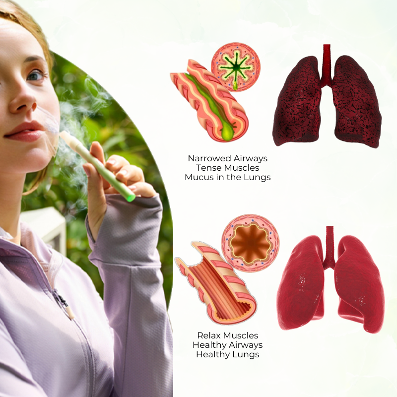 ✅Official Store-Tiworld® Mullein Aroma Diffuser (🫁Cough, wheezing, shortness of breath, sputum, stuffy nose, bronchitis, bronchitis, allergy symptoms, lung discomfort💝)